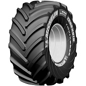 CereXbib CFO