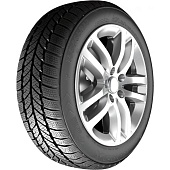 RoadX RXFrost WH01 245/70 R16 107T