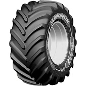CereXbib 2 CFO +