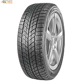 DoubleStar DW09 315/35 R20 106T